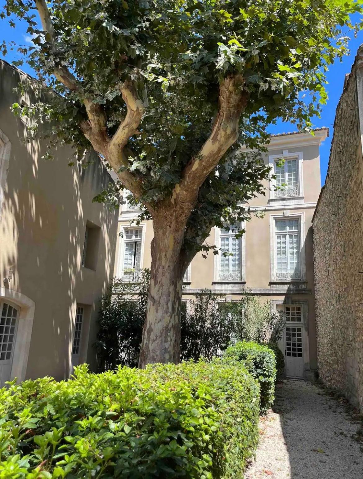 Superbe Appartement De Charme A 10Mn De Saint-Remy Noves Exterior photo